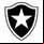 Botafogo Futebol e Regatas