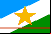 Bandeira de Roraima