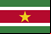 Bandeira do Suriname
