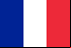 Bandeira Coletividade de São Martinho