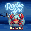 Web Rádio Siri Nossa Senhora do Socorro SE